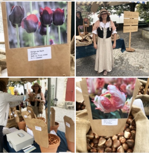 Mein kleines Holland