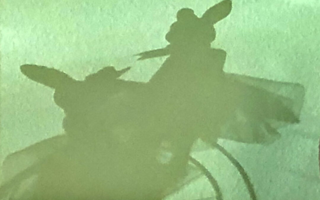 Die Hasenwerkstatt …