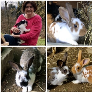 Ferientag bei Freunden